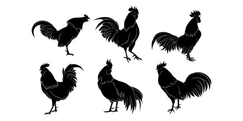 hand drawn silhouette of rooster © Qbertstudio