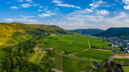 Panoramic view of vineyards on the Moselle, Germany. Drone photography.