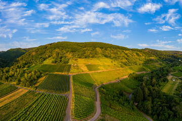 Panoramic view of vineyards on the Moselle, Germany. Drone photography.