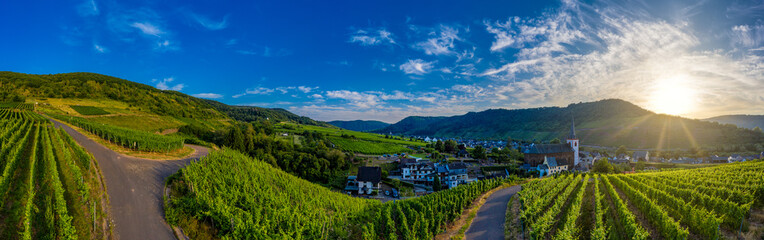 Fototapeta na wymiar Panoramic view of the municipality of Bruttig-Fankel and the vineyards on the Moselle, Germany. Drone photography.