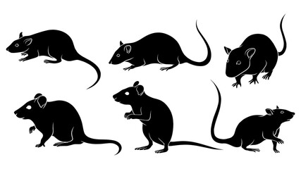 hand drawn silhouette of rats