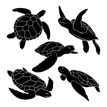 hand drawn silhouette of sea turtle