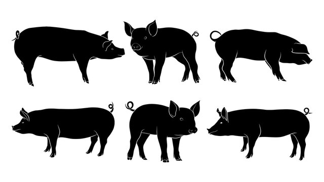 hand drawn silhouette of pig