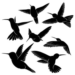 Hand drawn silhouette of hummingbird