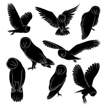 Hand drawn silhouette of owl