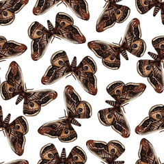 Watercolor botanical insect pattern. Butterflies brown illustration isolated on white background. Butterfly pattern an illustration for postcards, posters, textile design and other souvenirs.