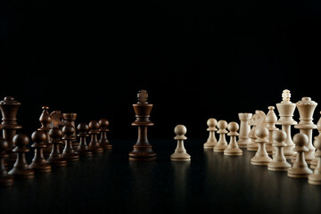 chess pieces are on black background