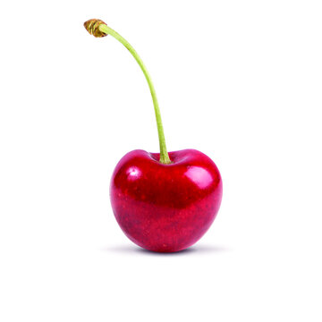realistic vector cherry isolated on white background