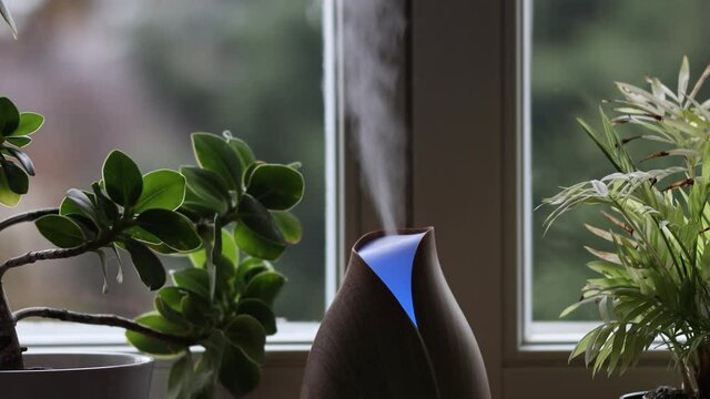 Design Wooden Aroma Diffuser with Changing Colors for Air Humidification and Essential Oil. Diffuser for Wellbeing in front of Window next to Room Plants.