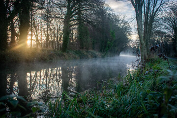 Foggy Sunrise at Ancient Irish Canal