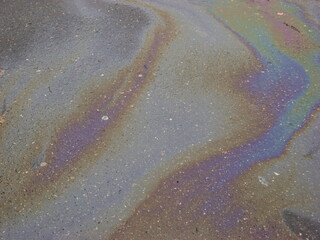 Gasoline rainbow on the pavement