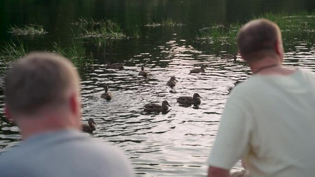 Men sit on a wooden pier by a pond with wild ducks. Back view.