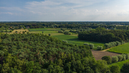 Forests in a rural area of East Flanders, Belgium