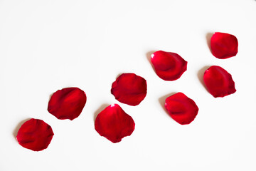 Fototapeta na wymiar Beautiful red petals of rose flower