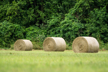 drei Strohballen