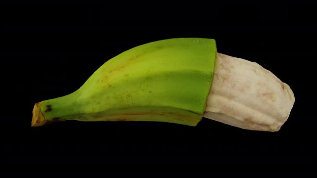 Realistic render of a rolling partially peeled Cooking Banana (Saba variety from Philippines) on transparent background (with alpha channel). The video is seamlessly looping, and the 3D object is scan