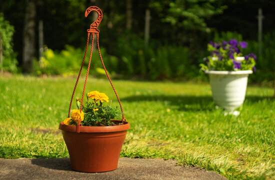 Hanging planters with flowers for the garden, on the green grass in the garden.