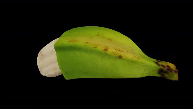 Realistic render of a rotating partially peeled Cooking Banana (Saba variety from Philippines) on transparent background (with alpha channel). The video is seamlessly looping, and the 3D object is sca
