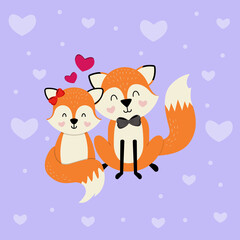 two foxes in love