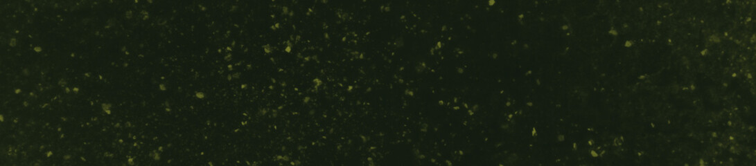 abstract black and dark green colors background for design