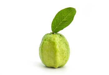 Green guava fruit isolated, white background of Thailand in harvest season.