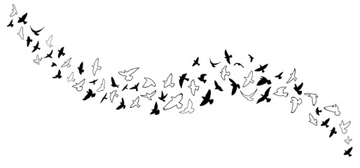 A flock of flying birds. Vector illustration