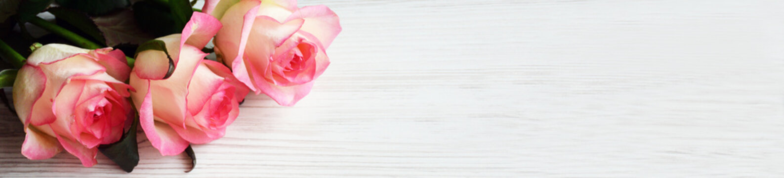 bunner with copy space and roses design. flower frame with fresh light pink roses on light wooden background with copyspace, flat lay. flowers background.