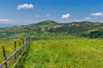 Fototapeta na wymiar landscape with fence and grass