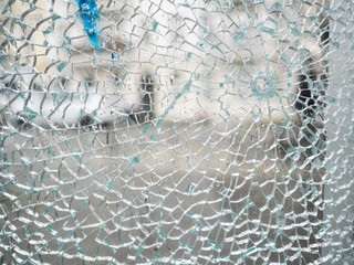 broken glass background in the street