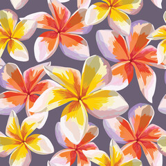 Seamless pattern pink Frangipani flowers on abstract background.Watercolor Drawing Vector illustration.