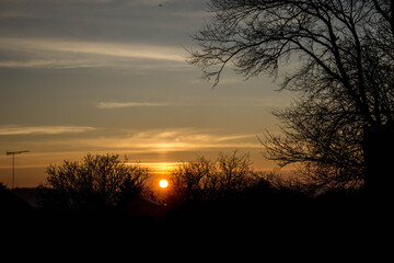 Fototapeta premium Scenery. Sunset on the background of trees and the city. Background.