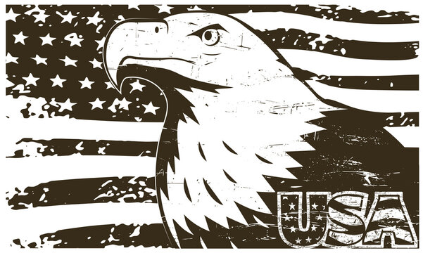 Bald Eagle Symbol Of North America In Grunge Style