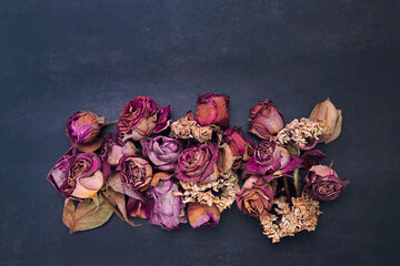 Still-life, flowers and roses dried in red, orange, violet and  pink colors on a dark and gray color background.