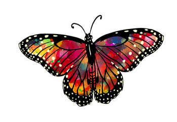 Fototapeta na wymiar The abstract butterfly is multicolored. Vector illustration