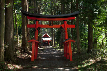 The red torii gate of Yama shrine near Lake Motosu in Fujikawagichiko, Yamanashi Prefecture, Japan.
