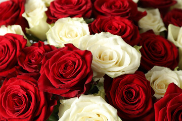 Luxury bouquet of fresh roses as background, closeup