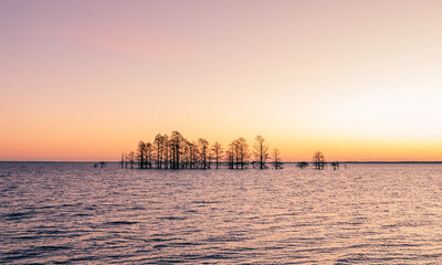 Lake Mattamuskeet at Sunrise