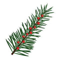 Naklejka na ściany i meble happy merry christmas fir leaf tree with seeds