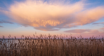 Fototapeta premium Lake Mattamuskeet at Sunrise