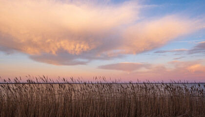 Lake Mattamuskeet at Sunrise