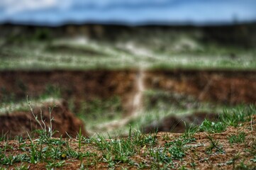 Obraz premium ravine in the forest