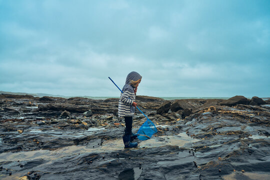 Preschooler standing on rocks by the sea with a fishing net