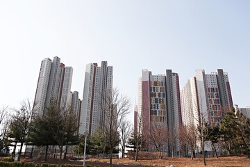 한국도심속의건축물입니다