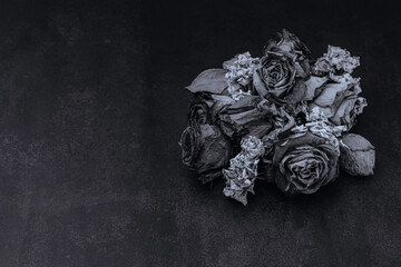 black and white flowers and roses dried on a rough background. 