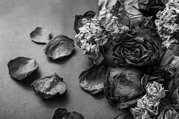 black and white flowers and roses dried on a rough background.  © Jackie Garcia