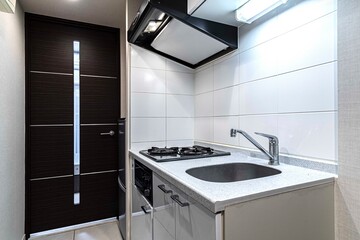 A kitchen counter and a small kitchen sink in the room at a modern condominium