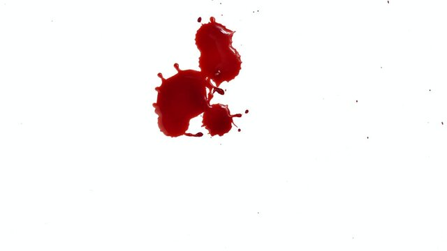 Closeup of red blood dripping on white background with alpha channel