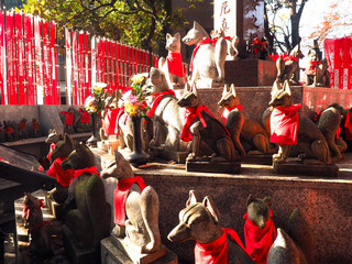 赤坂豊川稲荷神社　豊川稲荷神社　赤坂見附　きつね　キツネ
