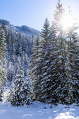 Cold sunny winter day in Tarta mountrains