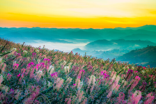  Moktawan The most spectacular viewpoint of the sea of mist of Tak Province, Thailand